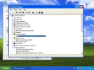 pic.webp