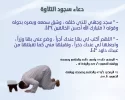 23.webp
