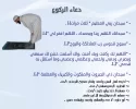 19.webp