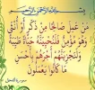 FB_IMG_1462014441653.webp