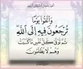 FB_IMG_1461934141144.webp