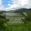 BuHenl0CIAA-nD1.webp
