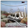 BmvW01xCEAEq_Mi.webp