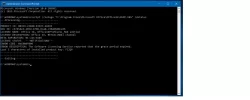 Untitled.webp