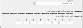 12.webp