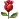 63255767.webp