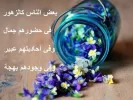 394845_403668076393798_722128416_n.webp