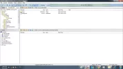 3.webp