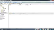 4.webp