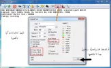 8.webp