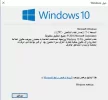 ali2.webp