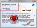 17.webp