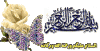 384439755.gif