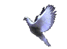 080911060834gi814hcmrx.gif