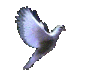 101011021048xwl65tp7b.gif