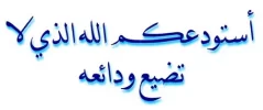 2014-11-15.webp