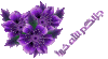 BG4eri4.gif