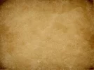 n6Szp0c.webp
