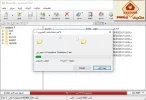 12.webp
