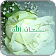 8.gif