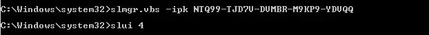 2.webp