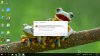 Screenshot (61).png