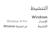 windo.webp