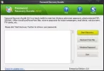 11.webp