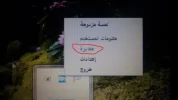 55.webp