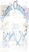 5.webp