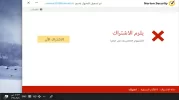 norton 1.webp