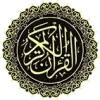 14.webp