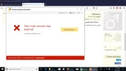 norton.webp
