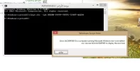 3333.webp