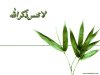ISLAMIC (162) - Copy.JPG