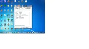 the pic.webp