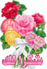 7c36b142dbf2eb1f674bcb1eb86bac62.gif