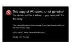 Untitled.webp