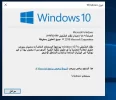 5.webp