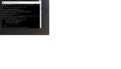 وورد.webp