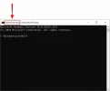 13.webp