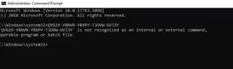 66.webp