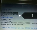 1.webp