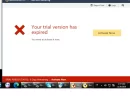 nortonnn.webp