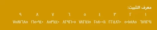 11.webp