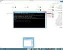 12.webp