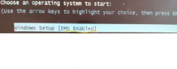 3.webp