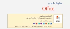 Microsoft Office Professional Plus 2021.webp