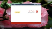 03.webp