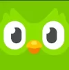 qaaa.webp